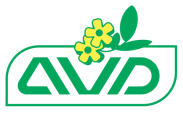 AVD