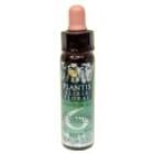 Plantis Nº 6 Self-esteem 10 ml