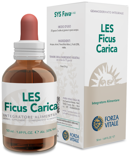 Ficus Carica Common Fig 50 ml