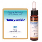 Fm 16 Honeysuckle 10 ml