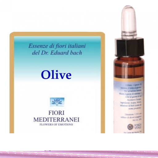 Forza Vitale Fm 23 Olive 10 ml