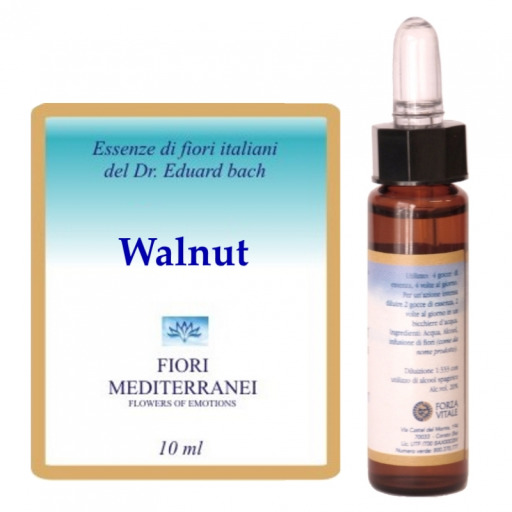Fm 33 Walnut 10 ml