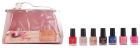 Nail Kit Case Silver 10 pieces