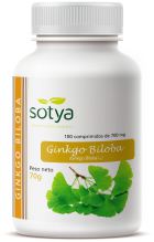 Ginkgo Biloba 100 Tablets