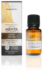 Field Mint Essential Oil