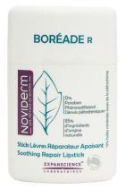 Boreade Stick Lip's repair