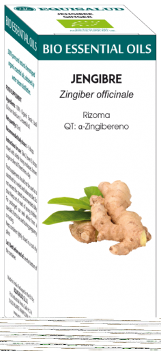 Organic Essential Oil Ginger 10 ml