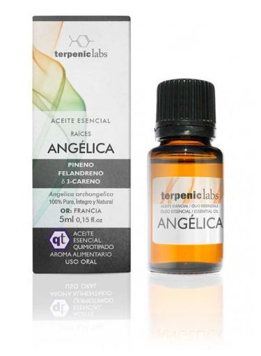 Angelica Root Essential Oil 30 ml