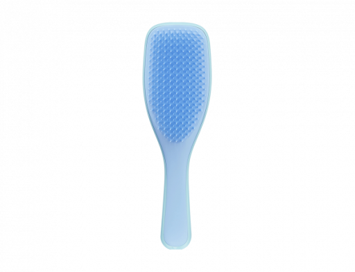 Wet Detangler Blue Wet Detangler Brush