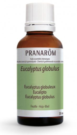 Eucalyptus Essential Oil