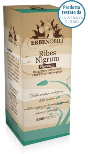 Ribes Nigrum Phytoblast 50 ml