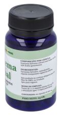 Gymnema 60 Capsules