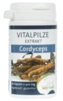 Cordyceps 60 Capsules