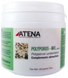 Polyporus-Mrl Powder 250 gr