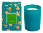 Gin Botanicals Scented Candle 250 gr