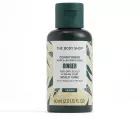 Ginger Conditioner