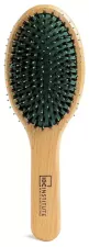 Oval Brush Double Bristle Brush 1 Unit