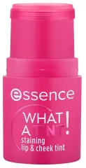 What A Tint! Lip and Cheek Tint 5g